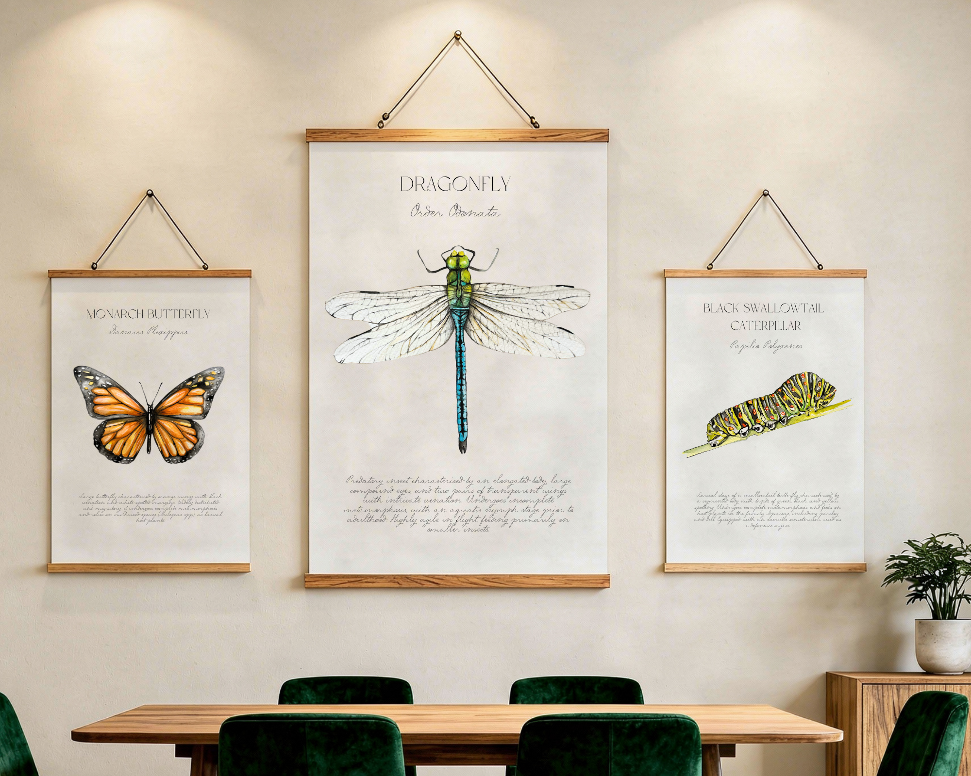 Black Swallowtail Caterpillar | Wall Art Print