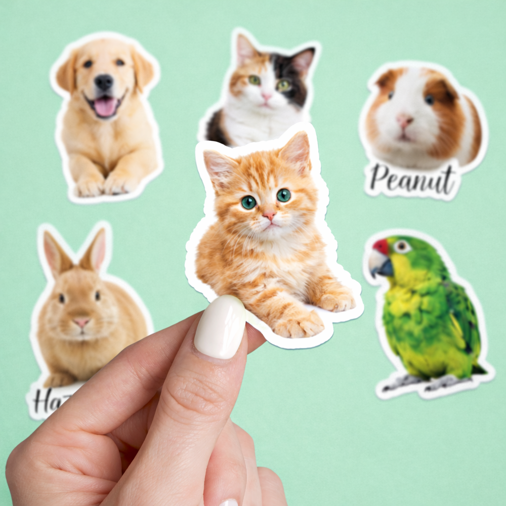 Custom Die Cut Stickers | Vinyl